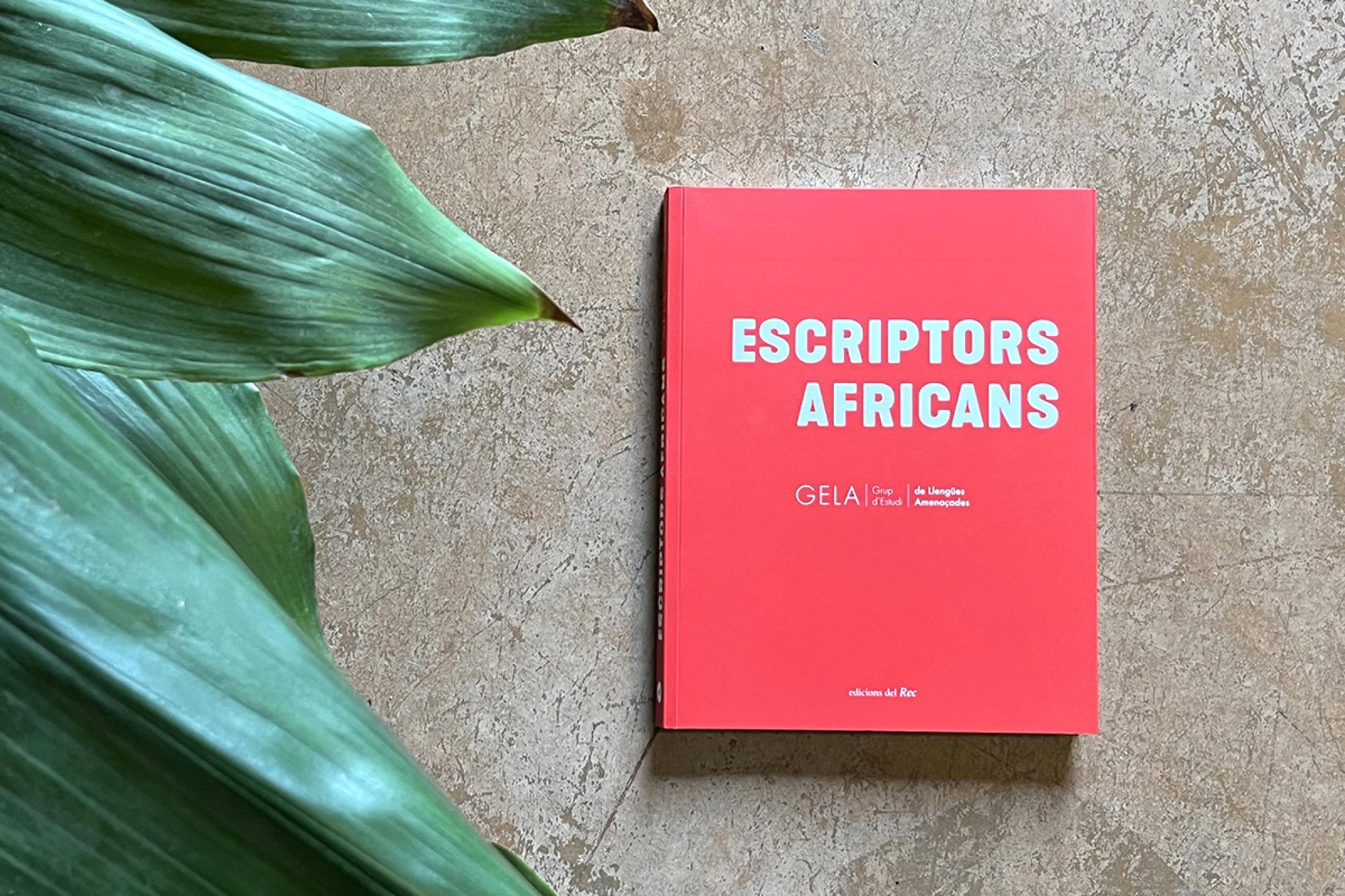 Escriptors Africans